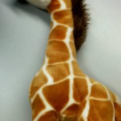 Mysig leksak Giraf, rapporterat av Burgers' Zoo med iLost