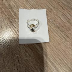 Ringa, rapporterat av Van der Valk Hotel Apeldoorn - De Cantharel med iLost