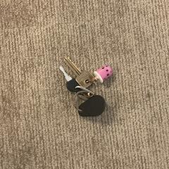 Nyckelring, rapporterat av Gemeente Alkmaar med iLost