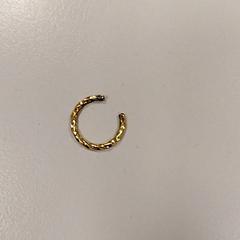 القرط Goud، كما تم الإبلاغ عنه بواسطة Vrije Universiteit Amsterdam عبر iLost