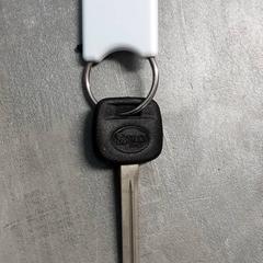 Chiave Witte sleutelhanger en op sleutel TOY47BP, come riportato da Arriva Friesland / Groningen utilizzando iLost