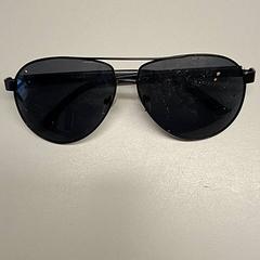 Sunglasses Zwart, as reported by Burgers' Zoo using iLost
