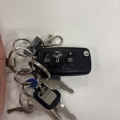 Sleutelbos, iLost'a bildirildiği gibi