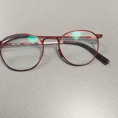 النظارات، كما تم الإبلاغ عنه بواسطة Centraal magazijn عبر iLost