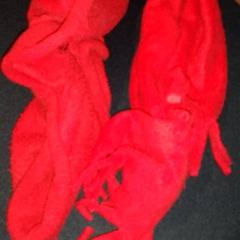 Sjal, som rapportert av TivoliVredenburg ved bruk av iLost