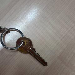 Porte-clés avec clés cles, a été signalé par IKEA Rouen Tourville-La-Rivière utilisant iLost