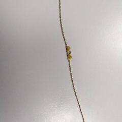 Nyaklánc Hartjes, amint azt Vrije Universiteit Amsterdam az iLost segítségével jelentette.