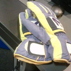 Handschuhe paars/groen, gemeldet von SnowWorld Landgraaf über iLost