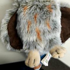 ぬいぐるみ Uil がiLostで Burgers' Zoo によって報告されました