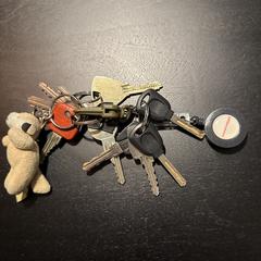 Bos sleutels an iLost gemeldet