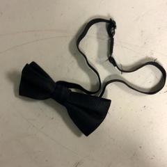 Strikke strikje, som rapportert av Artis ved bruk av iLost