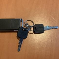 Fahrradschlüssel, gemeldet von Gemeente Amsterdam - Bureau Gevonden Voorwerpen über iLost