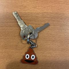 鍵 がiLostで Gemeente Amsterdam - Bureau Gevonden Voorwerpen によって報告されました