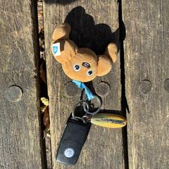 Auto sleutel, as reported to iLost