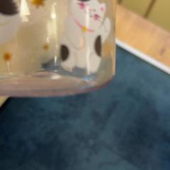 Ampolla, segons ha informat De Tovertuin mitjançant iLost