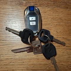 Autosleutels, som rapportert til iLost