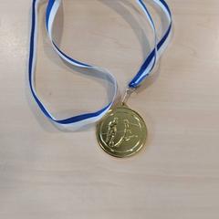 Diverse - medaille, zoals gemeld door Centraal magazijn met iLost