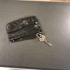 Gako-zorroa giltzekin, gisa salatu by Breng Nijmegen iLost erabiliz