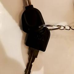 Klucze, zgłoszono przez RRReis IJssel-Vecht przy użyciu iLost