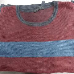 Pullover Donker rood met blauw, gemeldet von Arriva Vechtdallijnen über iLost