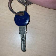 Sleutels, zoals gemeld door Jaarbeurs met iLost