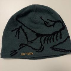 Beanie, as reported by Fenix using iLost