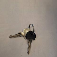 Schlüssel, gemeldet von IKEA Avignon über iLost