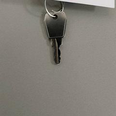 Nøkler, som rapportert av Centraal magazijn ved bruk av iLost