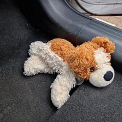 Knuffel Hond an iLost gemeldet