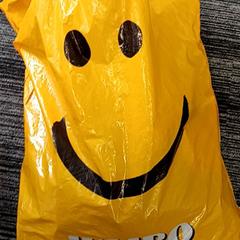 Bag Jumbo, as reported by Arriva Vechtdallijnen using iLost
