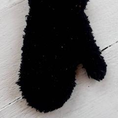 Want Zwart, como reportado por DierenPark Amersfoort utilizando o iLost