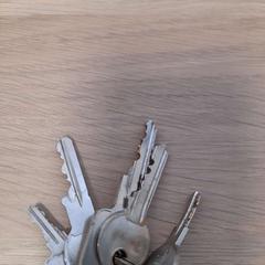 Nøkler, som rapportert av IKEA Praha – Zličín ved bruk av iLost