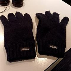 Handschoenen Donkerblauw, zoals gemeld door Padualaan 97 met iLost