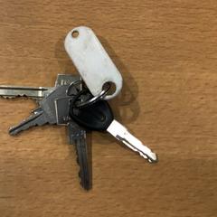 Schlüsselanhänger Wit label, gemeldet von Gemeente Amsterdam über iLost