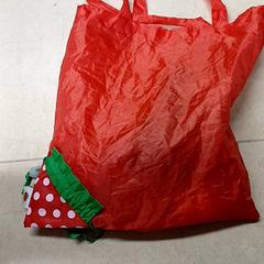 Bag, as reported by Qbuzz GD Groningen Peizerweg using iLost