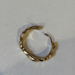 Gouden oorbel, como reportado ao iLost