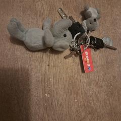 Sleutels، كما تم الإبلاغ عنه عبر iLost