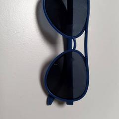 Sunglasses Blauw, as reported by DierenPark Amersfoort using iLost