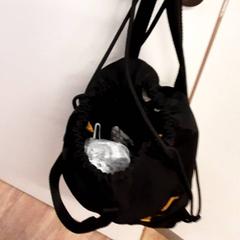 Bag, as reported by Qbuzz ZHN using iLost