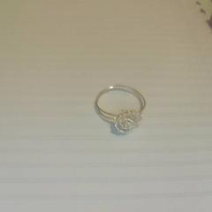 Ringe Gemaakt van draad, Silver kleur, som rapportert av Het Noordbrabants Museum ved bruk av iLost