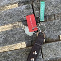 Sleutelbos, as reported to iLost