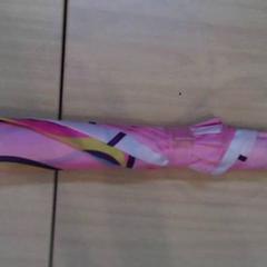 İLost kullanarak Het Spoorwegmuseum tarafından bildirildiği gibi Şemsiye Eenhoorn Roze