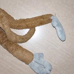 Various - Knuffel, as reported by Regio Antwerpen - Brussel using iLost