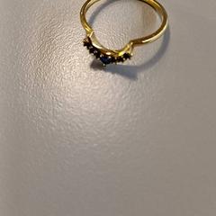 Gyűrű, amint azt Padualaan 99 az iLost segítségével jelentette.