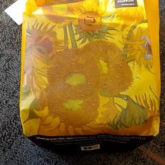 Sack Van Gogh, gemeldet von Connexxion Amstelland-Meerlanden Schiphol Zuid über iLost