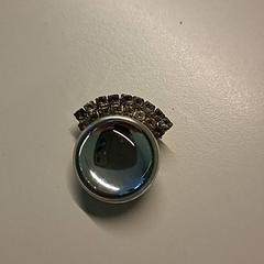 Earring, as reported by Ziekenhuis Oost-Limburg using iLost