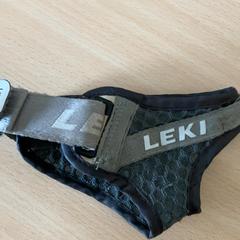 Gant, a été signalé par Schönbrunn "Group Center" utilisant iLost