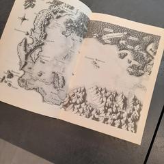 Boek, as reported by Rotterdam The Hague Airport using iLost