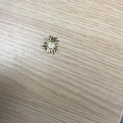 Broszka, zgłoszono przez Diakonessenhuis Utrecht przy użyciu iLost