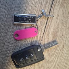 Autosleutel Skoda Fabia, amint azt az iLostnak jelentették.